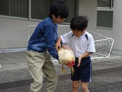 飼育委員会 ふれあい週間 いぶき野小学校