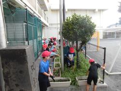 草取り集会