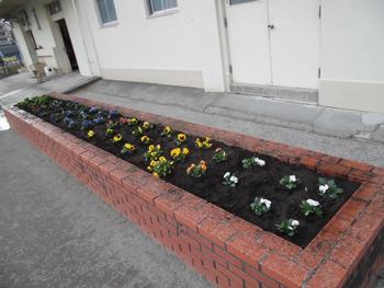 校庭花壇