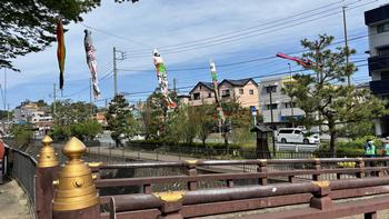 今井川を泳ぐこいのぼり