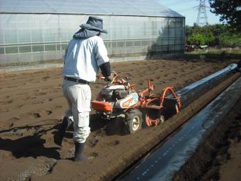 サツマイモ畑の畝づくり ５月８日水曜日 いずみ野小学校
