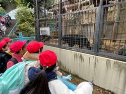 ２年野毛山動物園