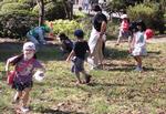 1年生　秋探し