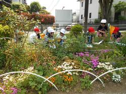 １年５月の様子