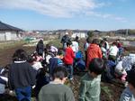 2年生 麦踏み