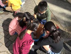 洗濯板体験１
