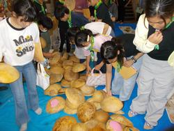 日光修学旅行3