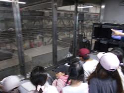 ４年社会科見学