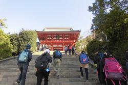 鶴岡八幡宮参道