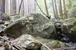 水神社