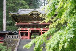 日光