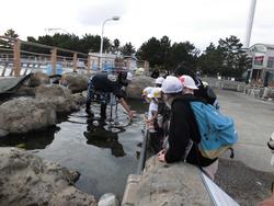 シーパラ写真