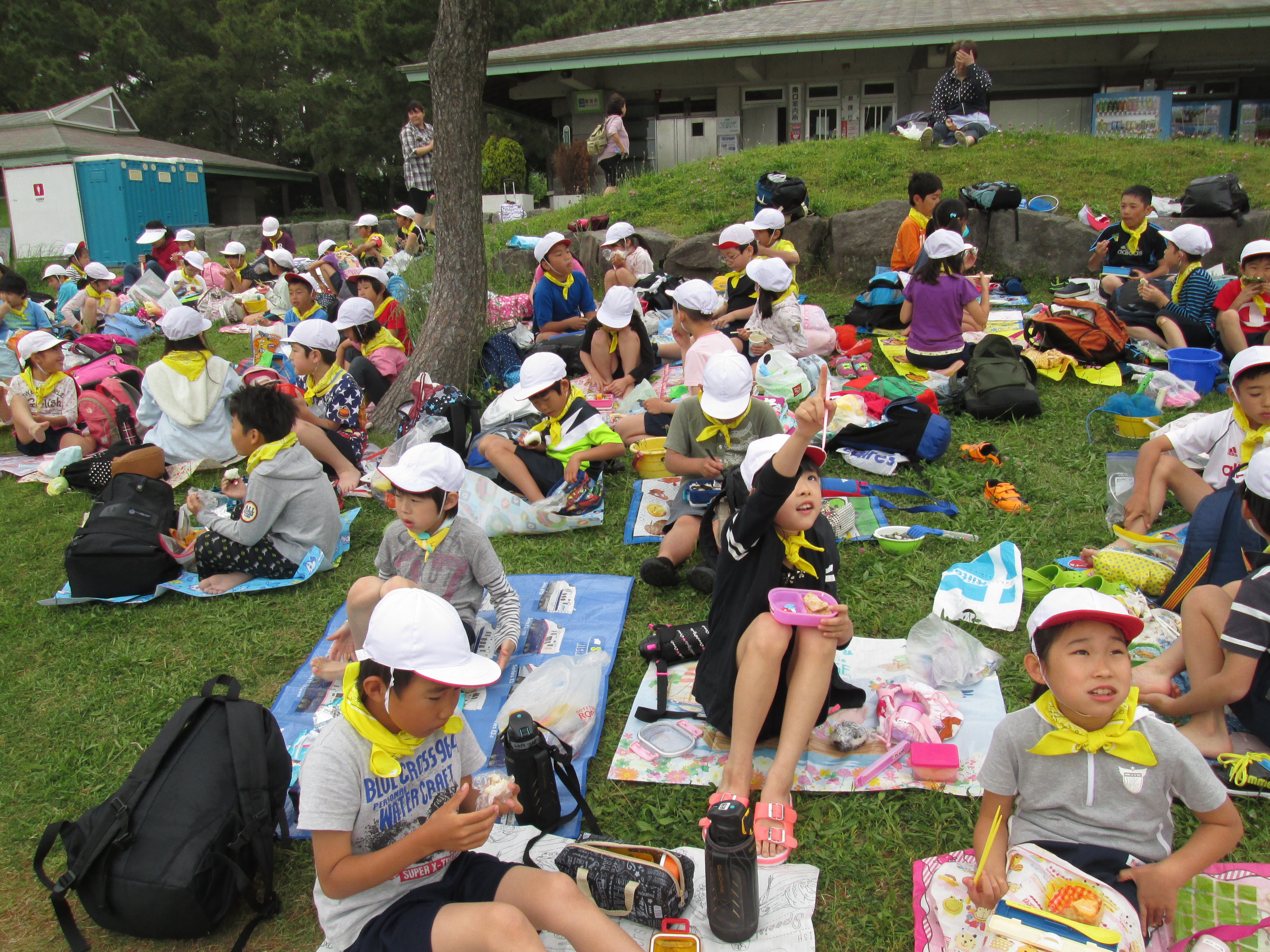 3年遠足 海の公園 港南台第二小学校