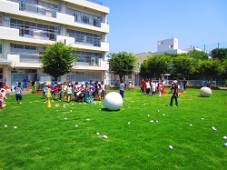 校庭芝生化 小山台小学校