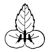 校章