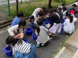 「こうえんたんけん」の様子