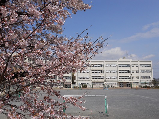 緑 天気 市 横浜 区