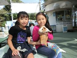 １年 １０月２４日 野毛山動物園 動物ふれあい体験 みなとみらい本町小学校