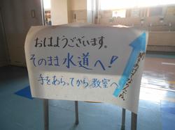 掲示物