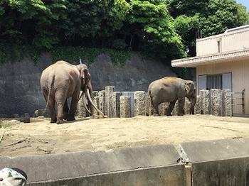 金沢動物園