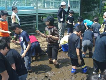 田植え