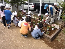 2年　永谷川プロムナードの花植え