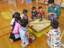 １年　出張動物園　かんさつめいじんになろう-2-1