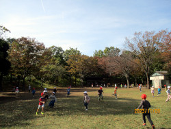 1年 舞岡公園遠足