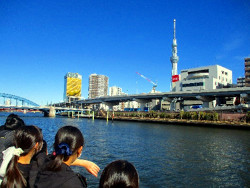 ６年生　東京見学