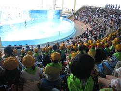 江の島水族館