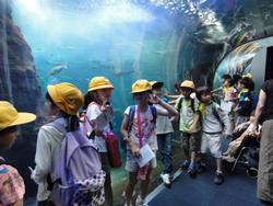 江の島水族館