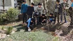 ホタルの幼虫放流