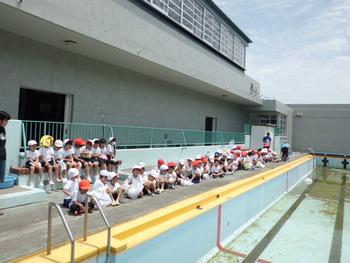 ５月２９日 火 ヤゴ救出大作戦 並木第一小学校
