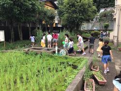 2年生 生き物となかよし 根岸小学校 2年生 生き物となかよし 根岸小学校