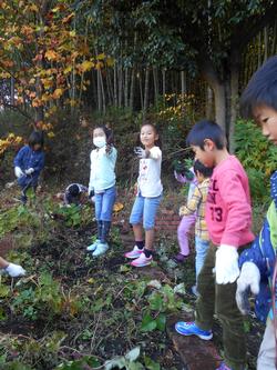 2年生 サツマイモ掘り つる遊び 新田小学校