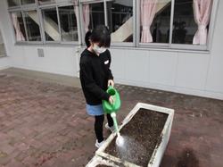 ４年ヒョウタン⑥