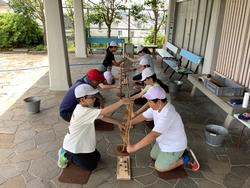 ６年三殿台③