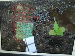 あ