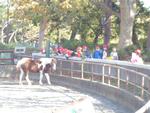 金沢動物園遠足