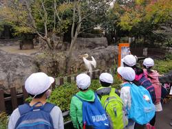 金沢動物園１
