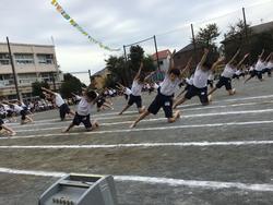 さちフェス