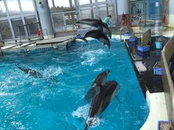 野島宿泊体験学習写真