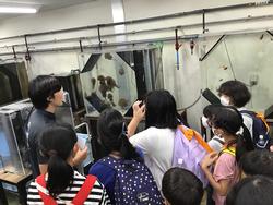 野島宿泊体験学習写真