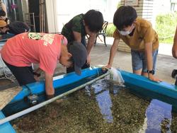 野島宿泊体験学習