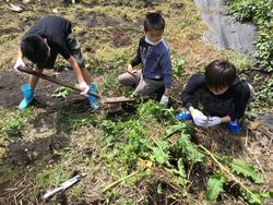 【６組】今年の畑の活動がスタート