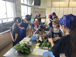 写真①