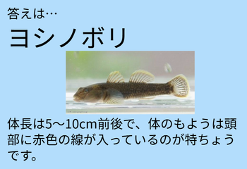 答え