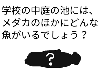 Q1