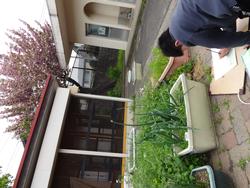 飼育小屋近くの花壇と八重桜