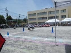 3年運動会